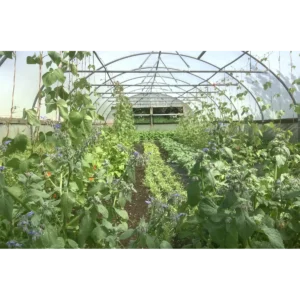 Macleod Organics