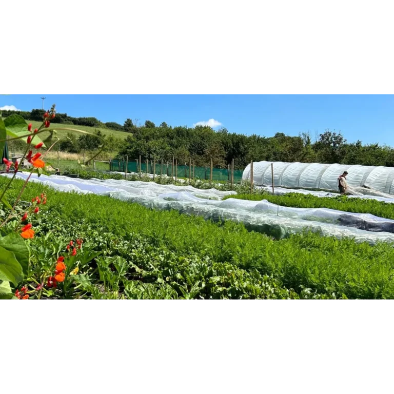 Cam Valley Growers