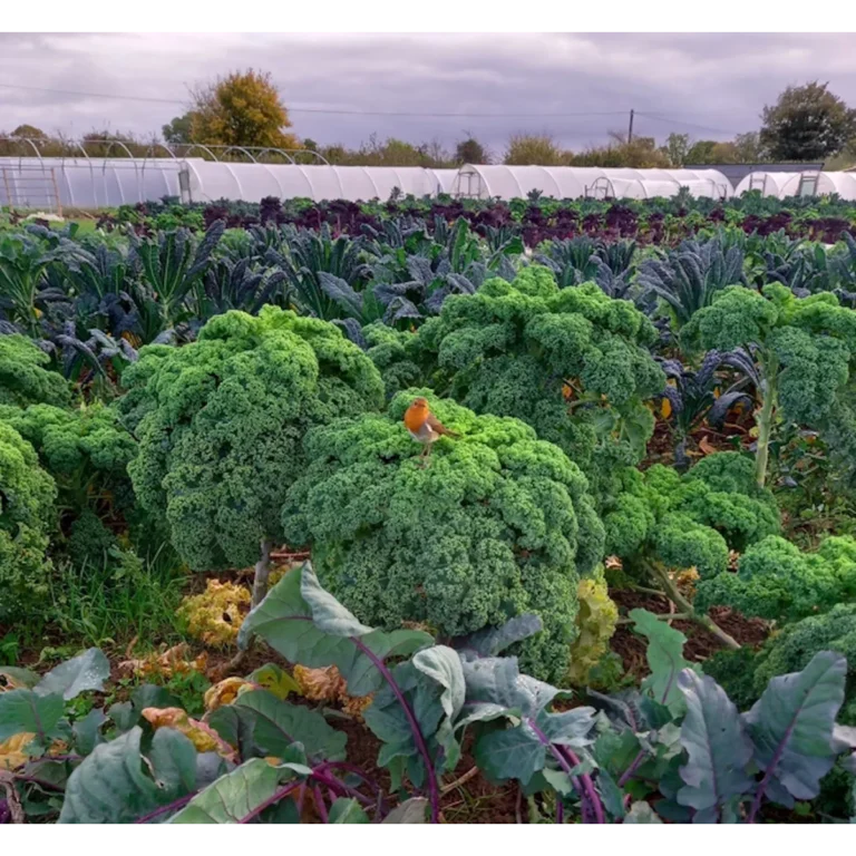 Grown Green
