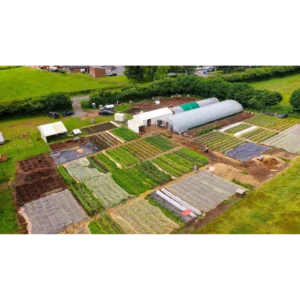 Langtons Farm