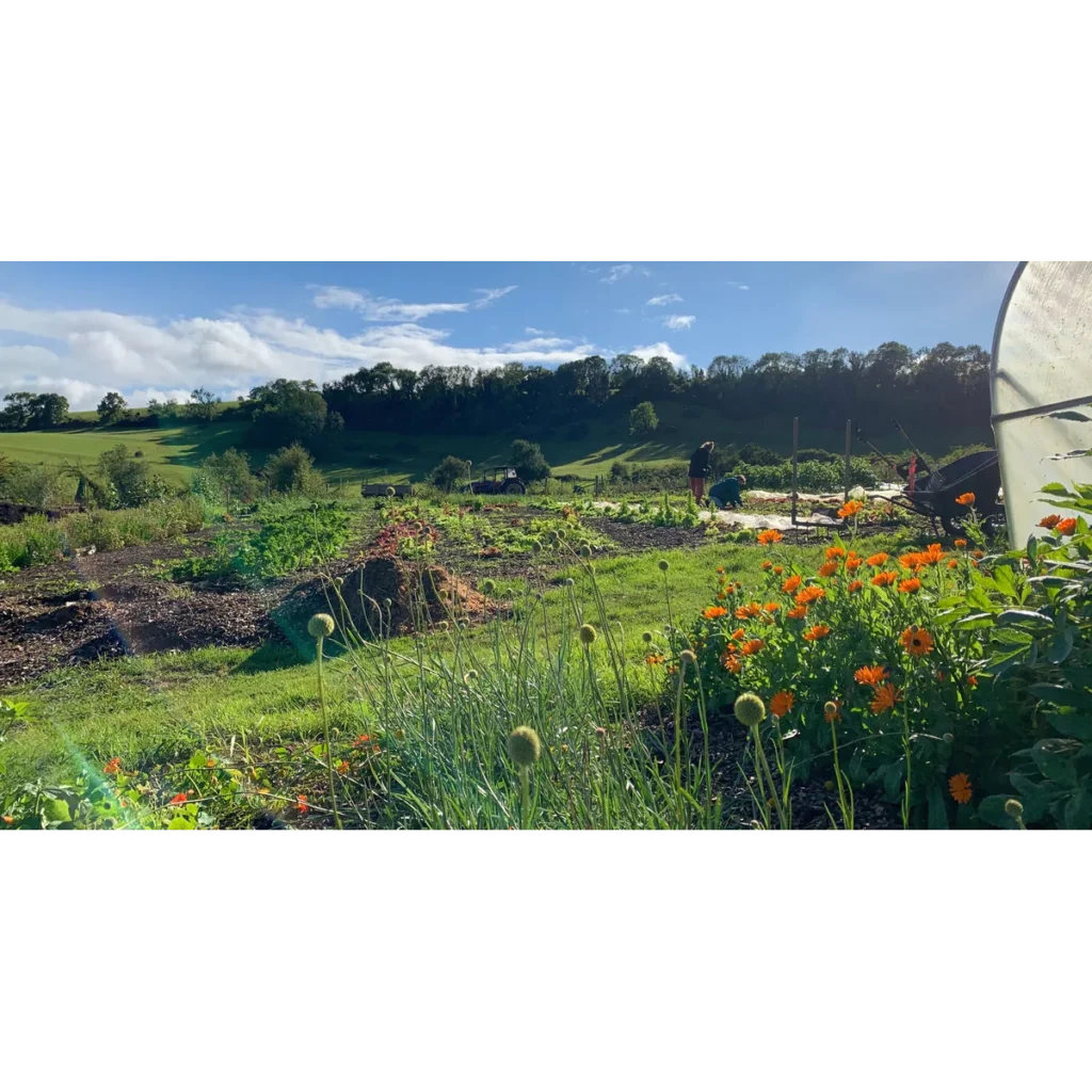 Middle Ground Growers