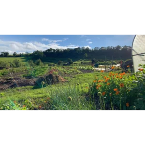 Middle Ground Growers