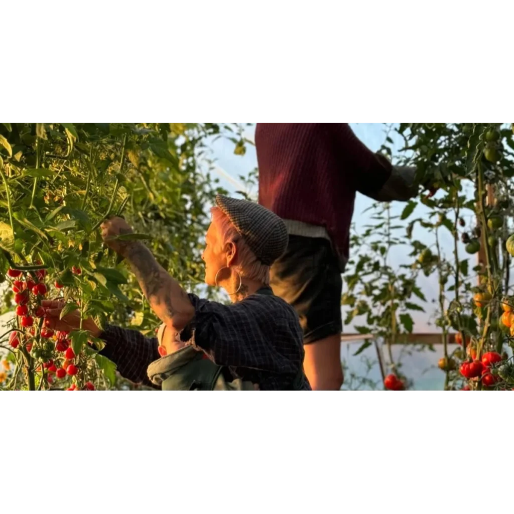 Off Grid Organics