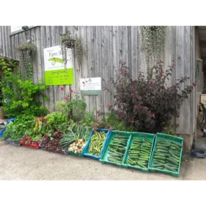 Purton House Organics organic veg box
