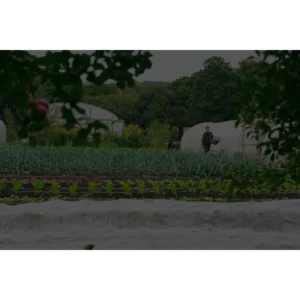 Real Food Garden