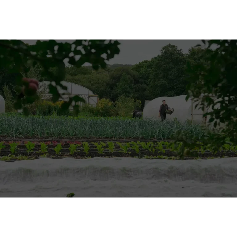 Real Food Garden