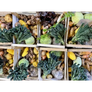 Laines Organic Farm
