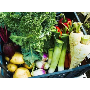Nature’s Basket