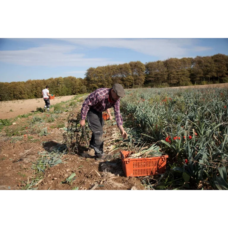 Ripple Farm Organics