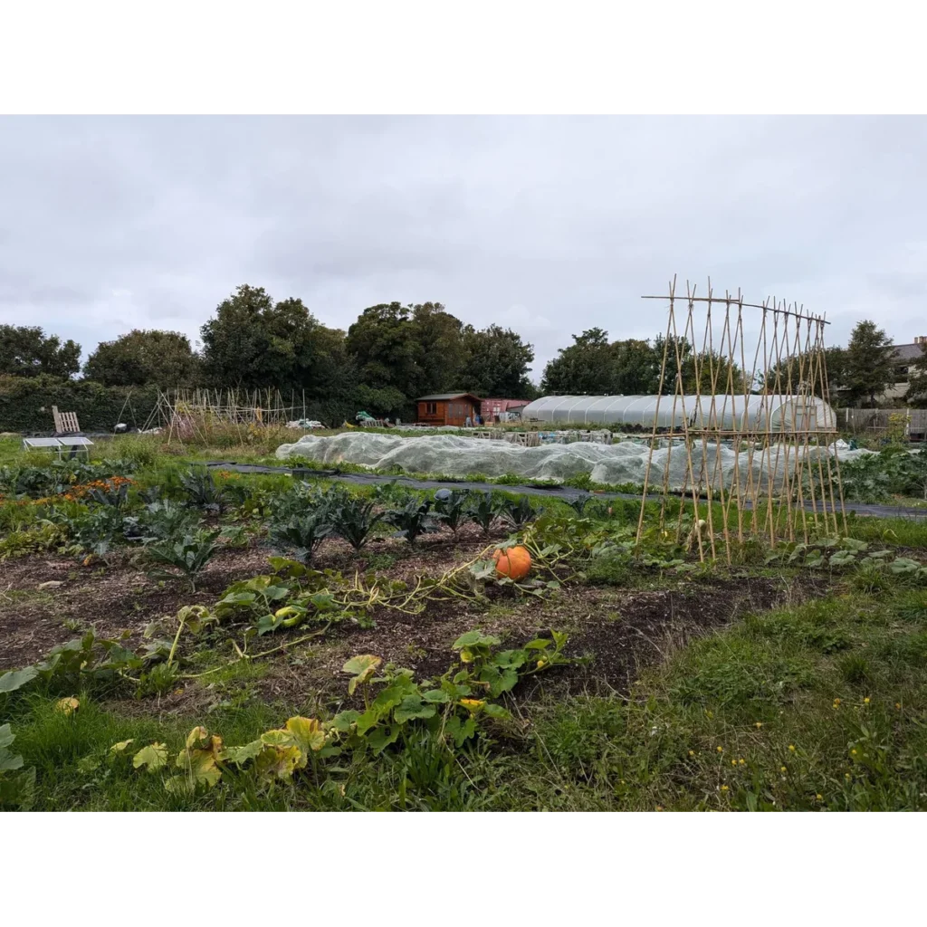 Windmill Community Gardens Margate