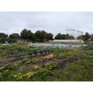 Windmill Community Gardens Margate