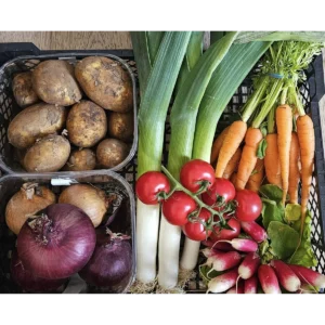 Alfie Dan’s Market Garden