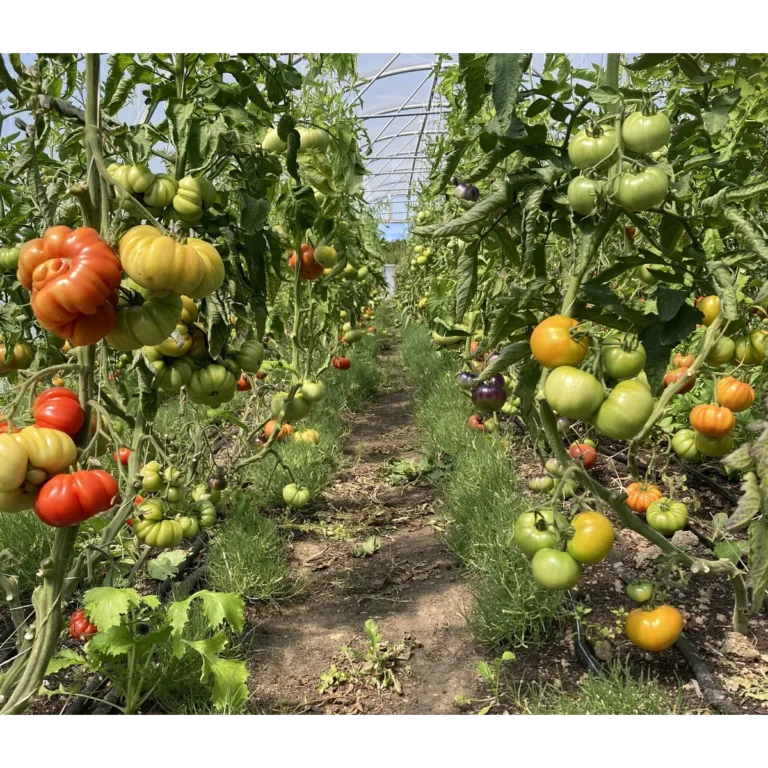Awenorganics