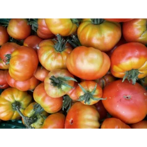 Blackhills CSA