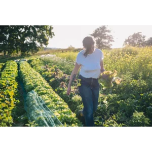 Folx Farm