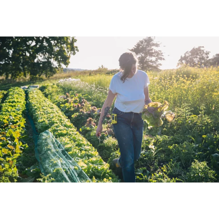 Folx Farm