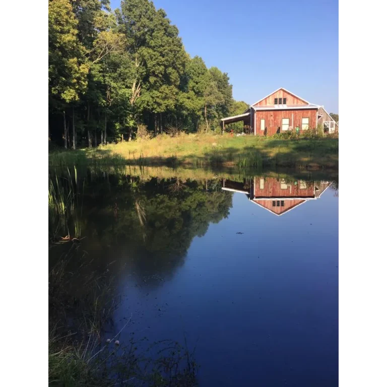 Sobremesa Farm