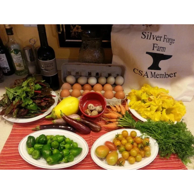 Silver Forge Farm
