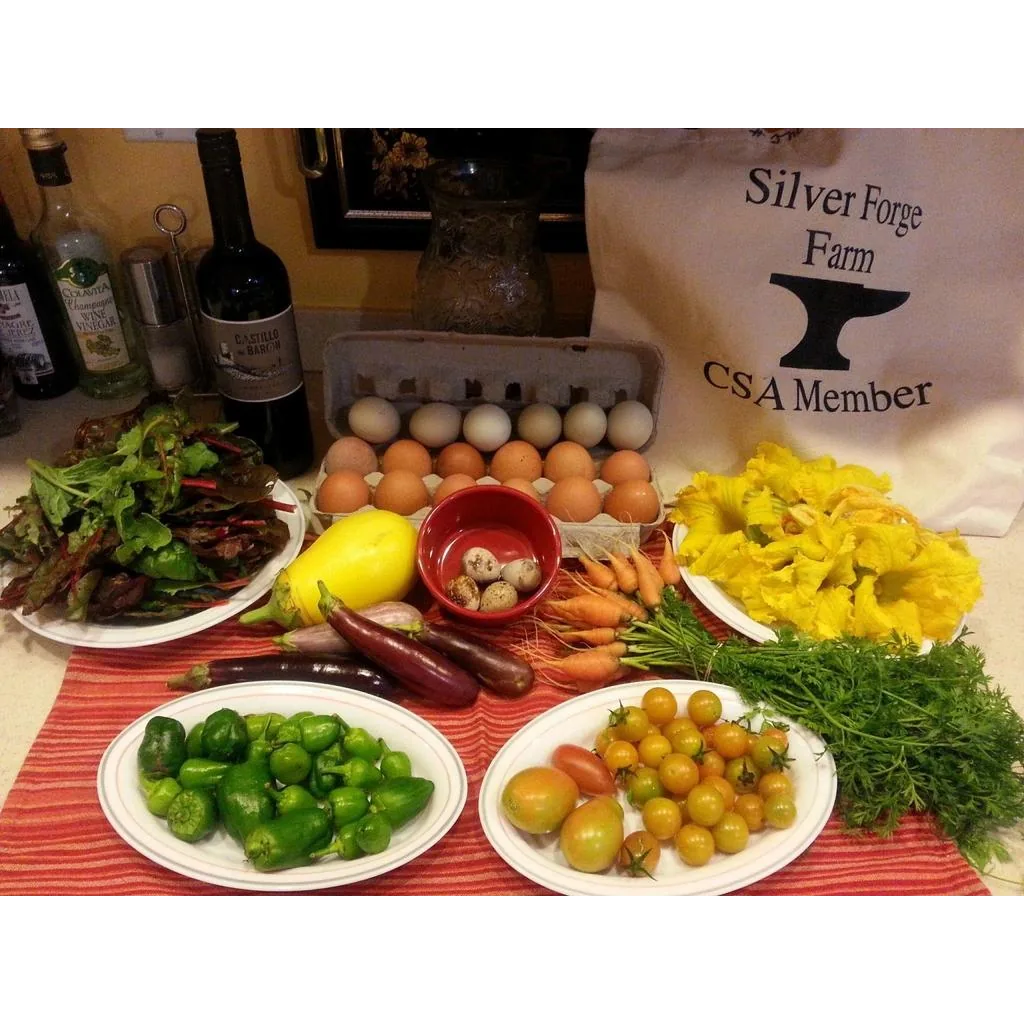 Silver Forge Farm