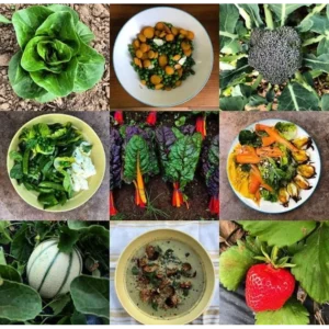 Helsing Junction Farm CSA