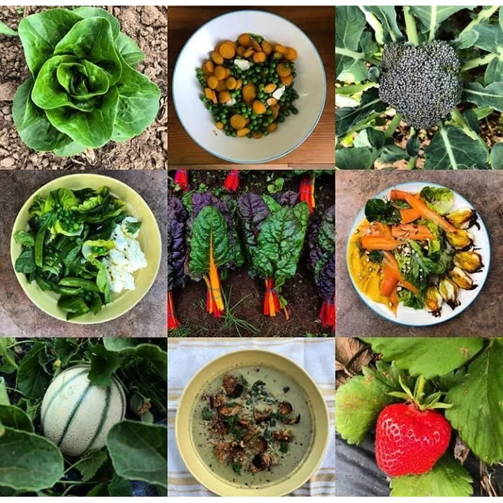 Helsing Junction Farm CSA