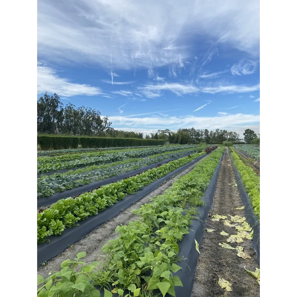KAI-KAI FARM