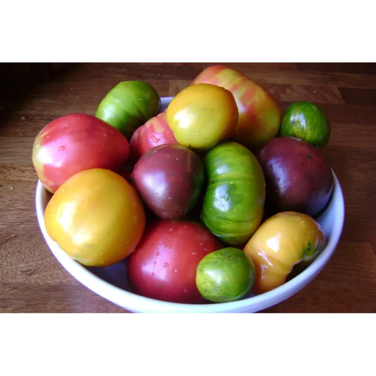 Fresh Earth Farms