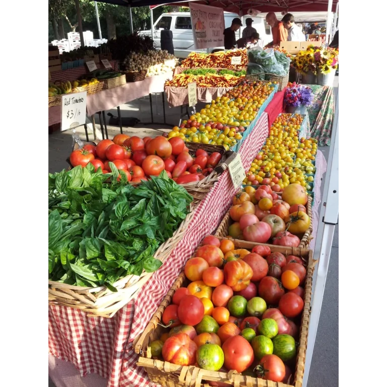 Cure Organic Farm