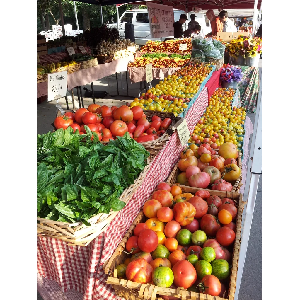 Cure Organic Farm